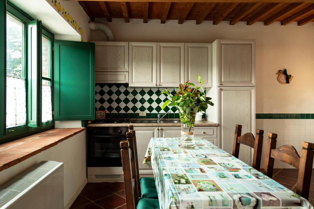 Agriturismo Il Belvedere Country Houses Massa Marittima Εξωτερικό φωτογραφία